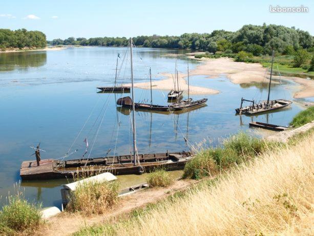 Ferienhaus Vieux-port A 45600 Bouteille Guilly (Loiret)